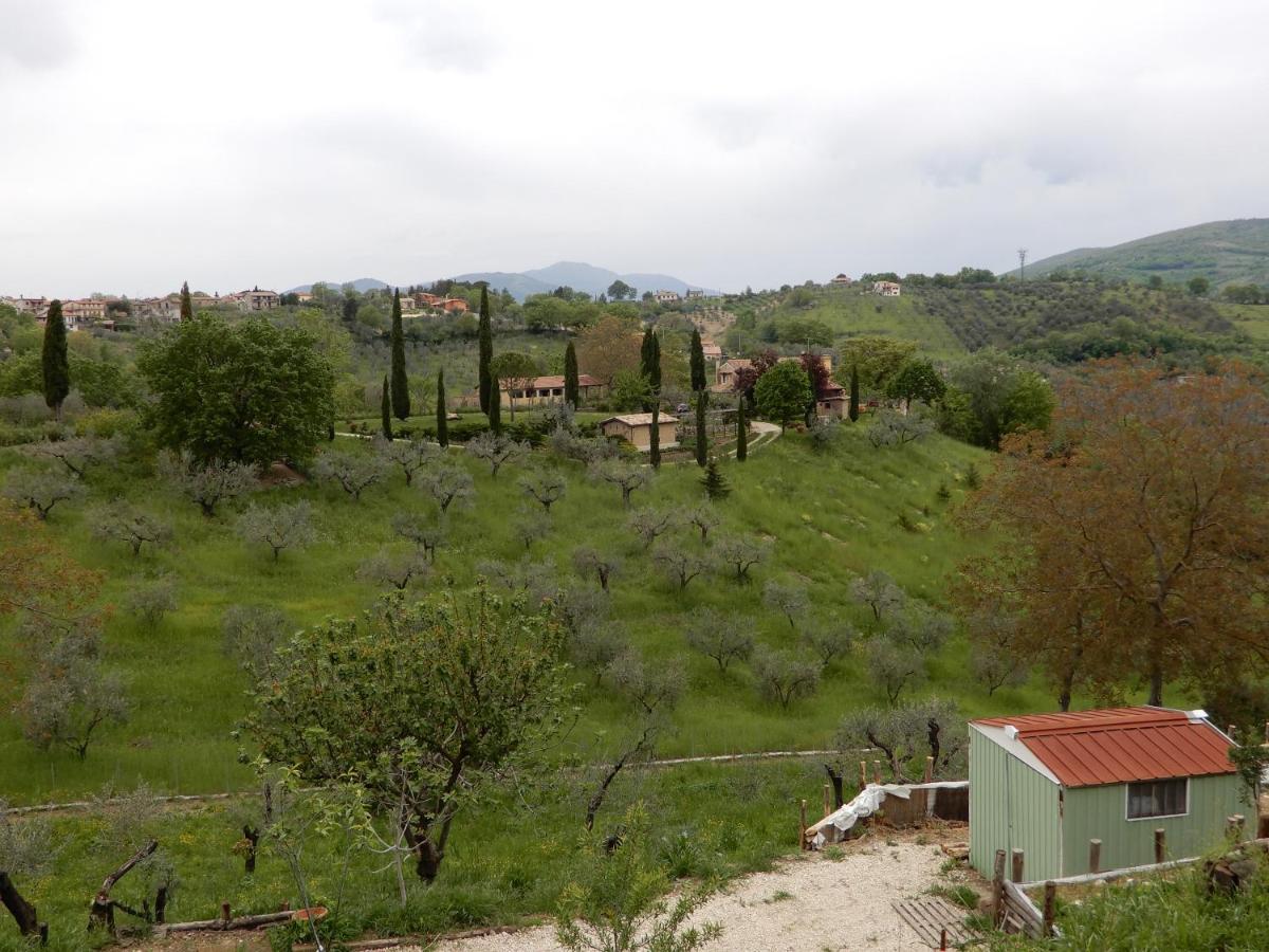 Il Gelsomino Bed & Breakfast Frasso Sabino ภายนอก รูปภาพ