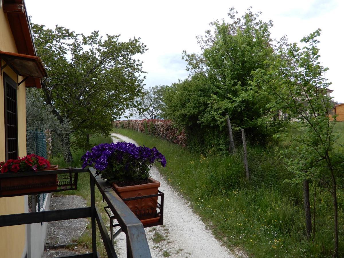 Il Gelsomino Bed & Breakfast Frasso Sabino ภายนอก รูปภาพ